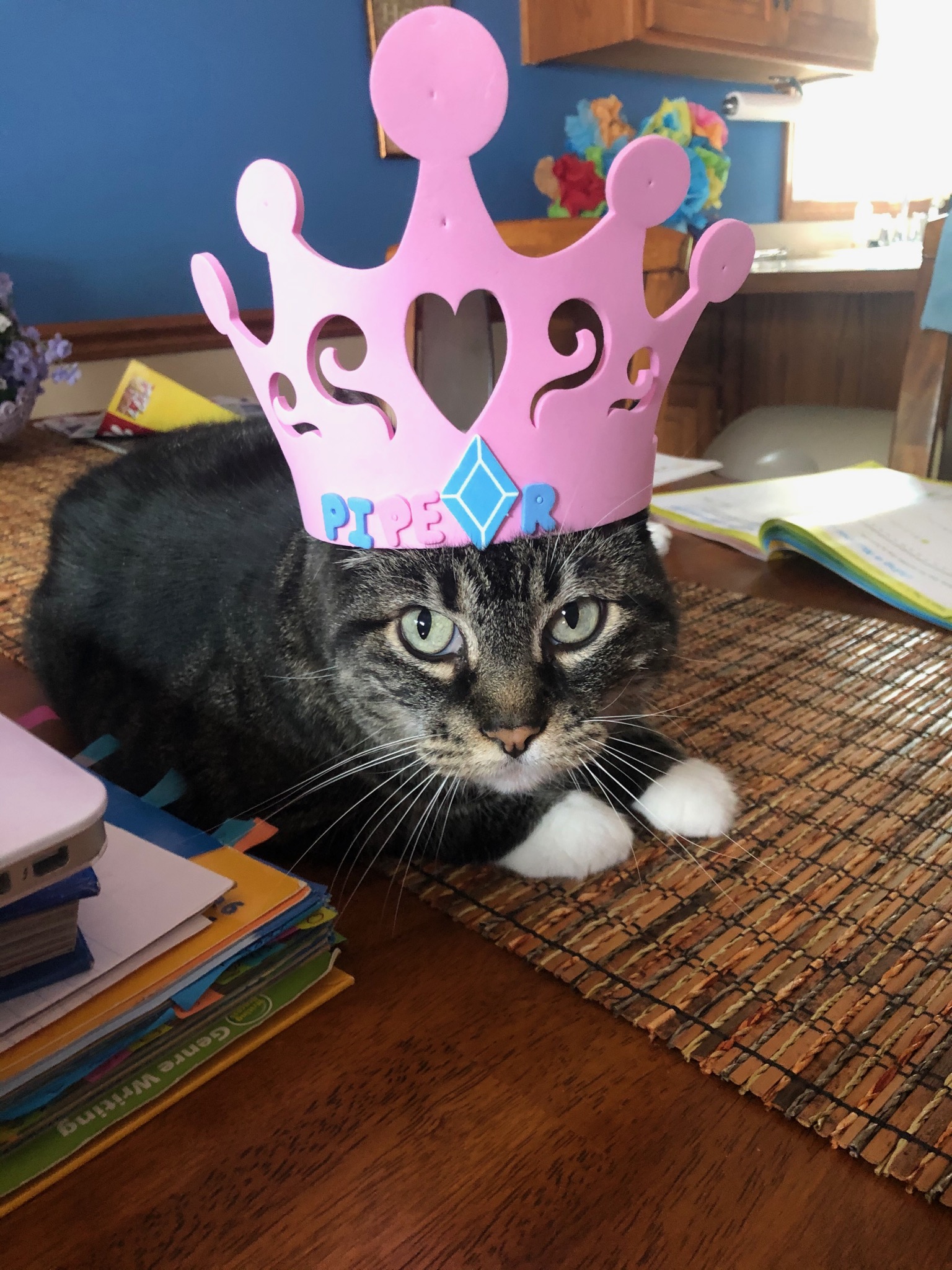 cat wearing a foam crown
