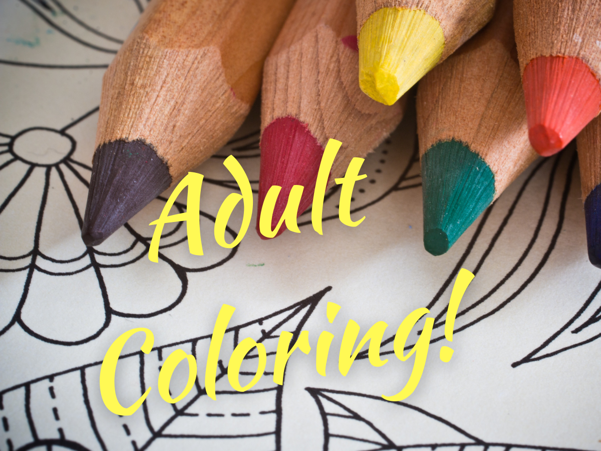 Adult coloring program