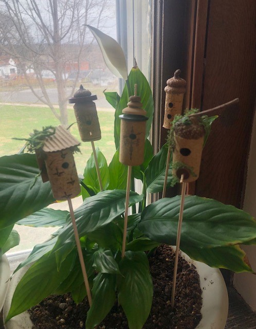 Miniature cork birdhouse picks in a potted plant