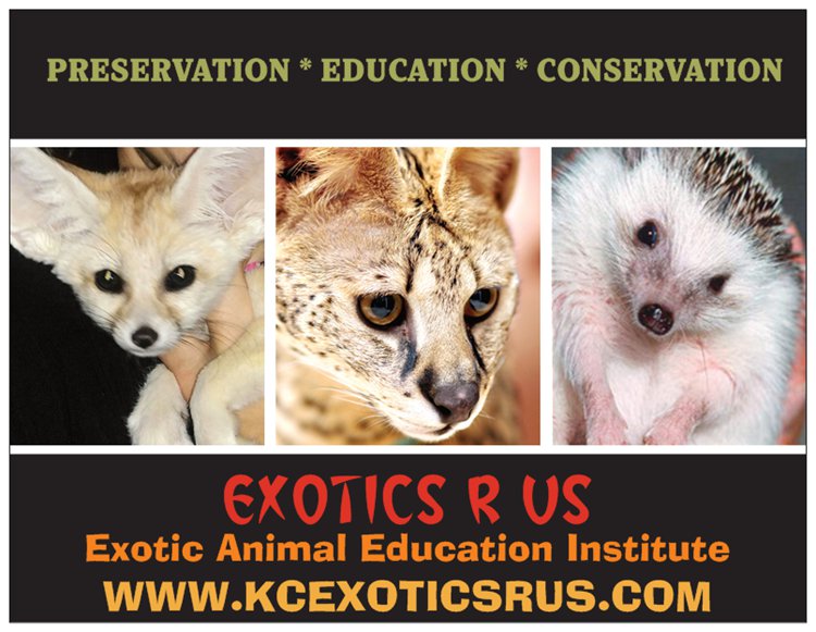 image of exotic animals