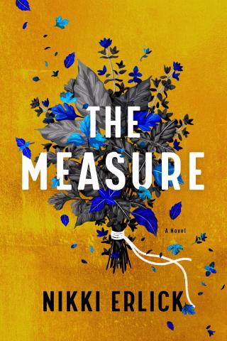 The Measure by Nikki Erlick