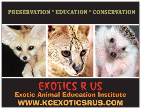 image of exotic animals