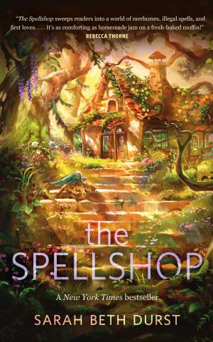 The Spellshop book cover