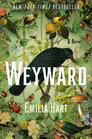 book cover for Weyward