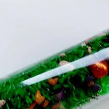 bottle with colored rice and dinosaurs